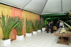 20111212img000_6415.500_original